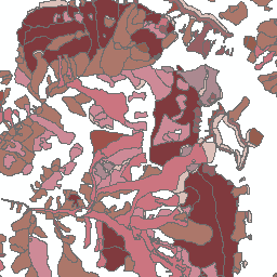 Landslides and Debris Flows