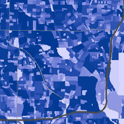 2010 Demographic Data