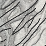 Quaternary Fault Lines